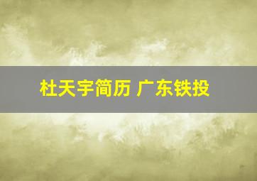 杜天宇简历 广东铁投